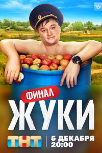  Жуки  смотреть онлайн